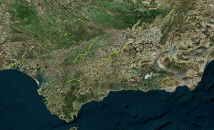 overview