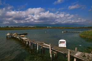 overview