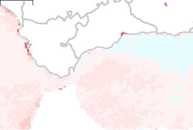 overview