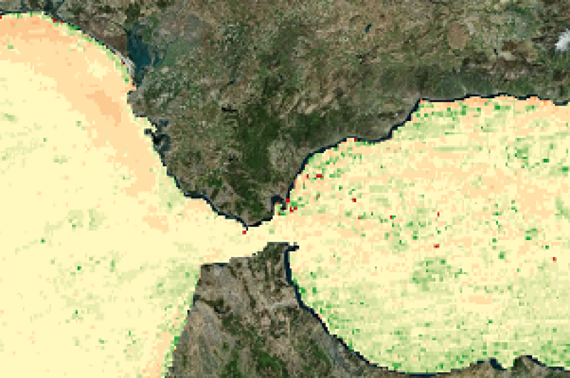overview