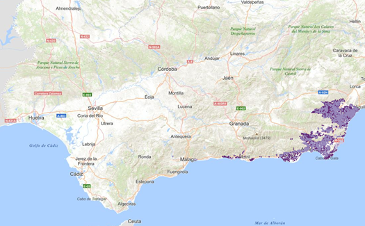 overview