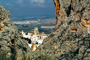 overview