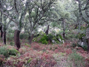 overview