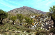 overview