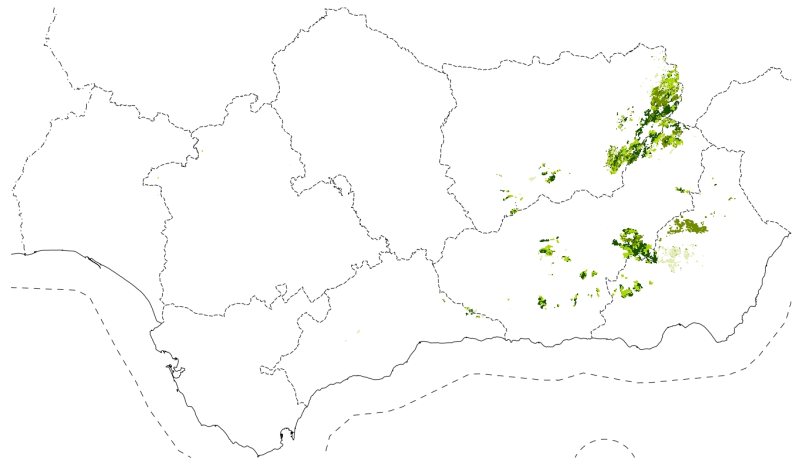 overview