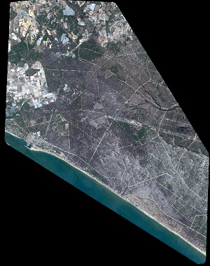 overview