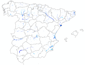 overview