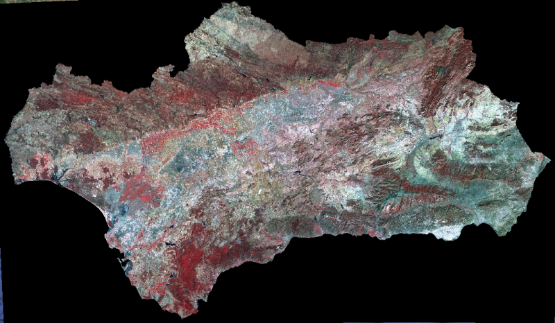 overview
