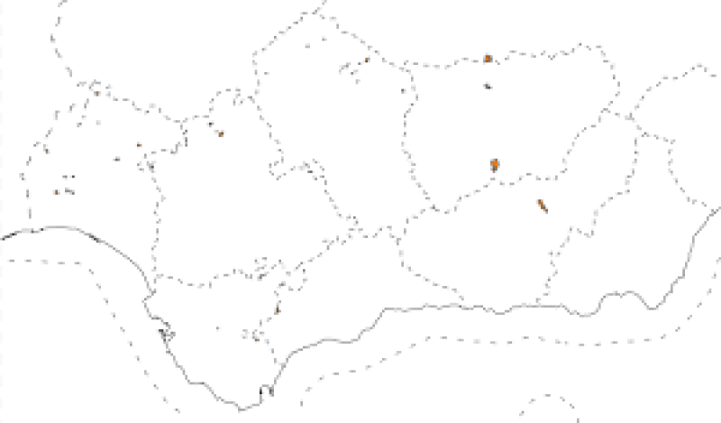 overview