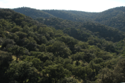 overview