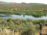overview