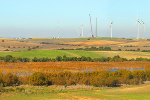 overview