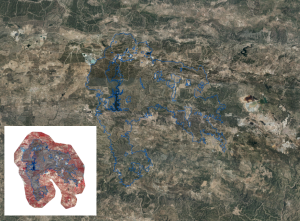 overview