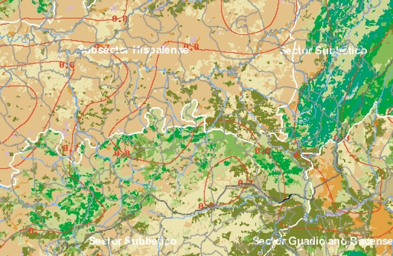overview