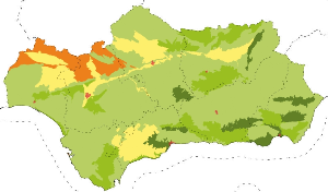 overview