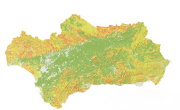 overview