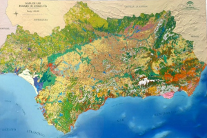 overview