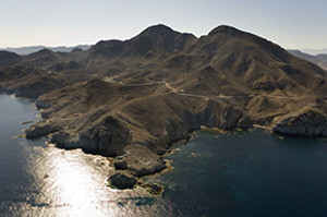 overview