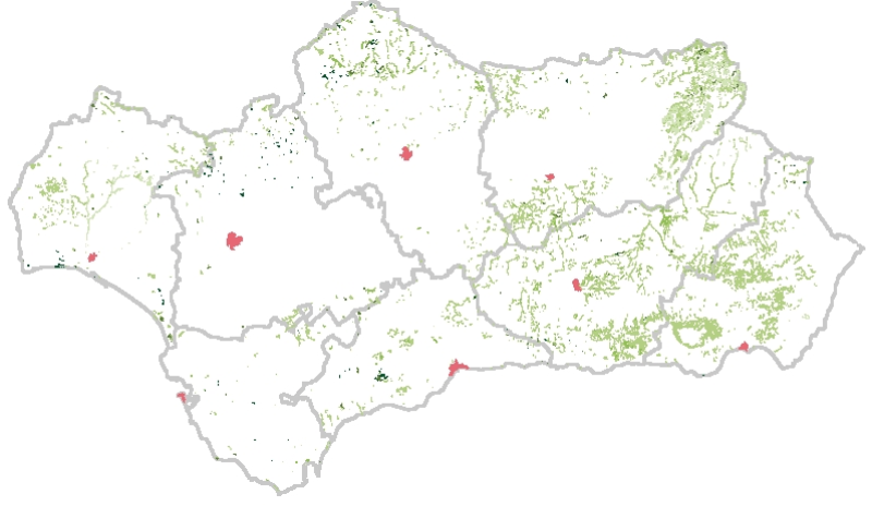 overview