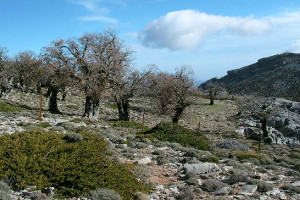 overview