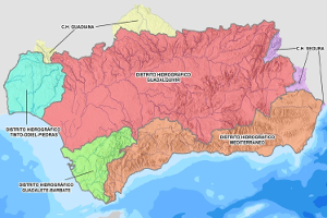 overview