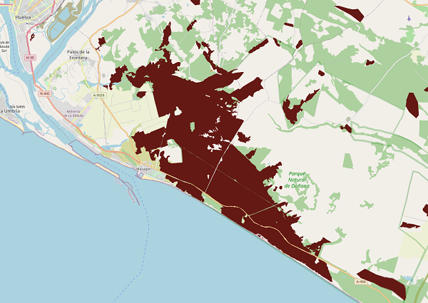 overview