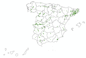 overview