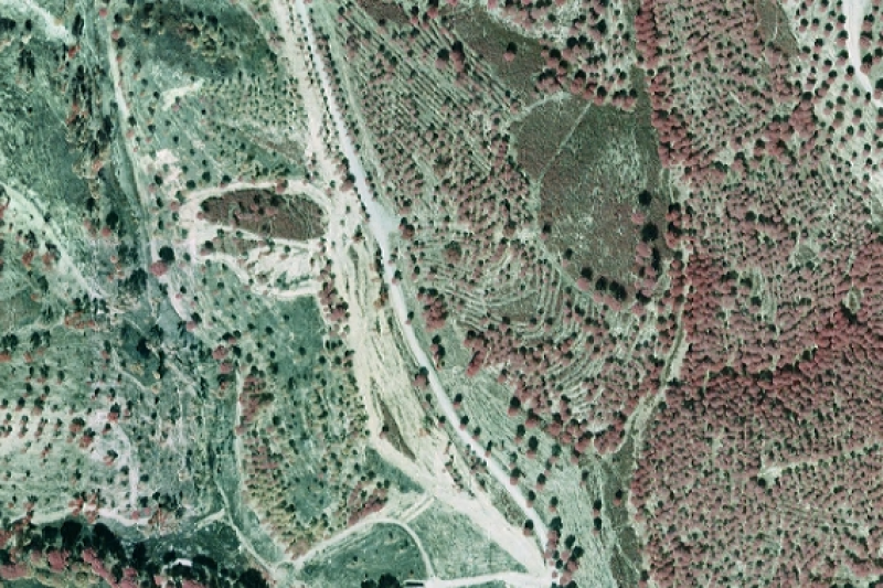 overview