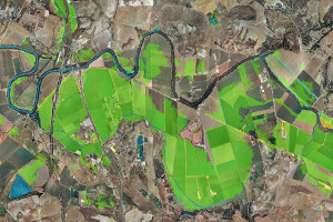 overview