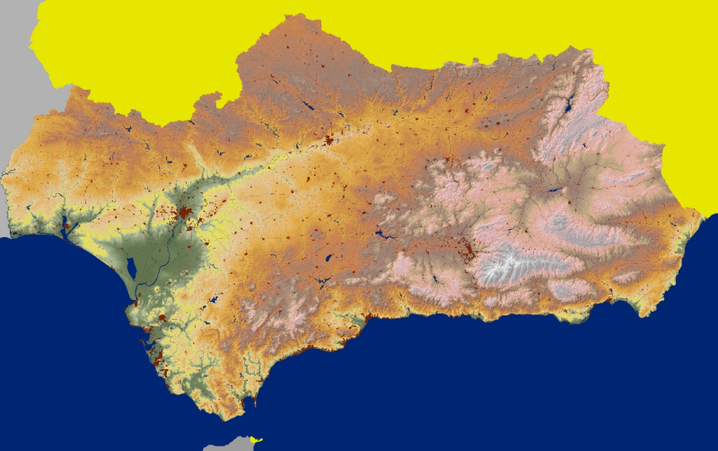 overview
