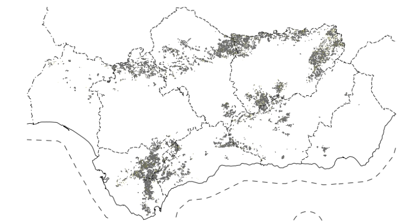 overview