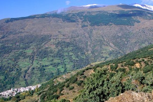 overview
