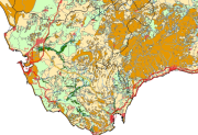 overview
