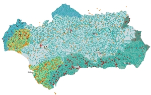 overview