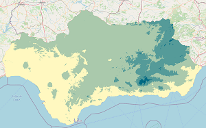 overview