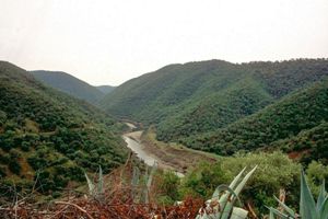 overview