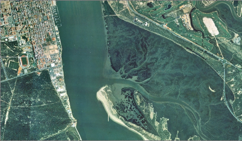 overview