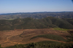 overview