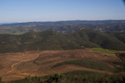 overview