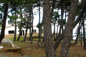 overview