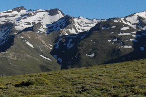 overview
