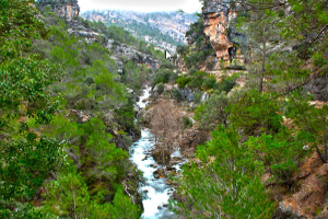 overview