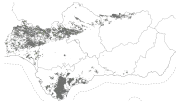 overview