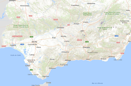 overview