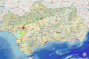 overview
