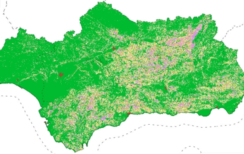 overview