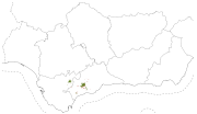 overview