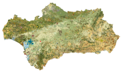 overview