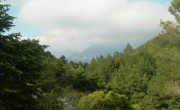 overview