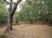 overview